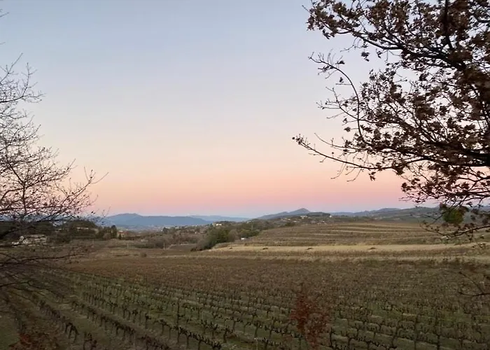 La Combe De Lamaron